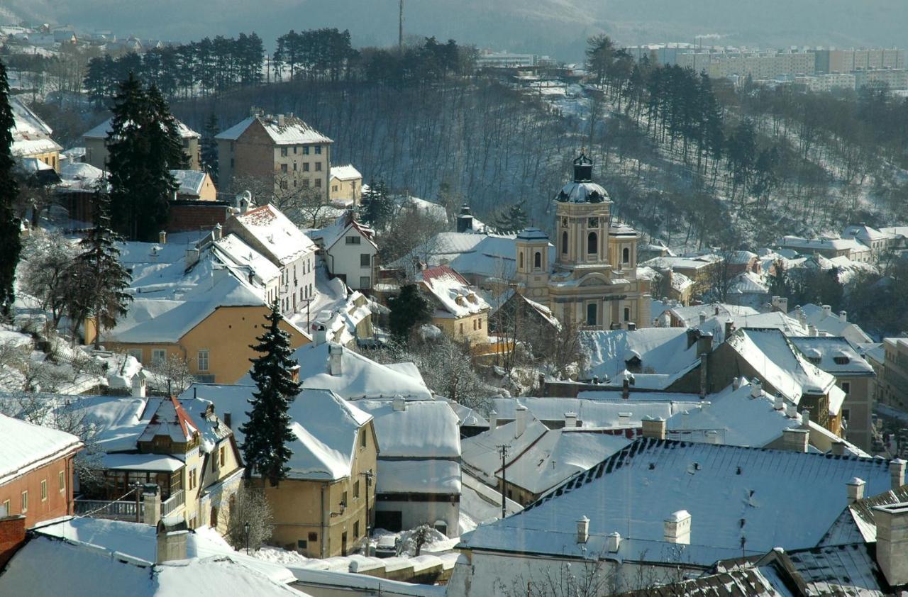 Vila Stiavnica Банска-Штьявница Экстерьер фото