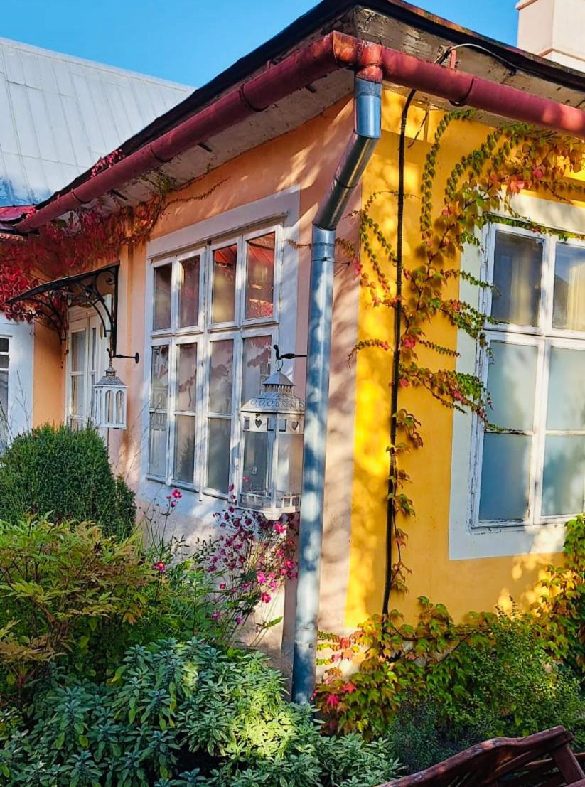 Vila Stiavnica Банска-Штьявница Экстерьер фото
